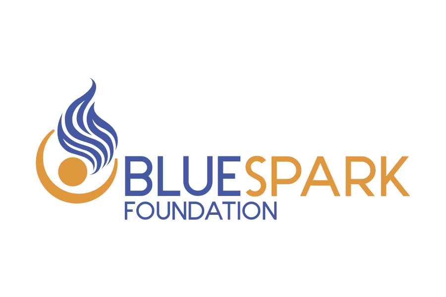 Torbay Children's Parliament competition 2023 is supported by the BlueSpark Foundation